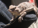 photo thumbnail #10