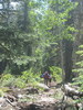 photo thumbnail #11