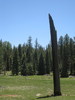 photo thumbnail #13
