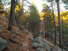 photo thumbnail #2
