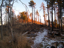 photo thumbnail #5