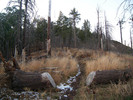 photo thumbnail #6