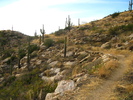 photo thumbnail #2