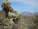 photo thumbnail #6