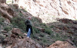 photo thumbnail #13