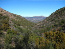 photo thumbnail #5