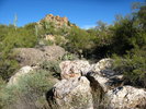 photo thumbnail #4