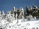 photo thumbnail #14