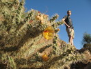 photo thumbnail #6