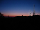 photo thumbnail #11