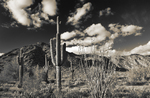 photo thumbnail #11
