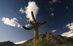 photo thumbnail #12