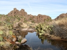 photo thumbnail #1