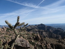 photo thumbnail #8