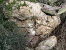 photo thumbnail #4