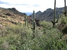photo thumbnail #6
