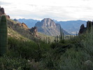 photo thumbnail #9