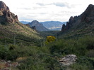 photo thumbnail #10