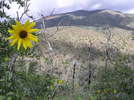 photo thumbnail #12