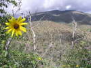photo thumbnail #14
