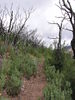 photo thumbnail #15