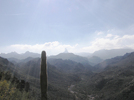 photo thumbnail #5