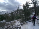 photo thumbnail #5