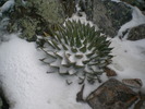 photo thumbnail #12