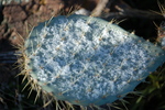 photo thumbnail #7