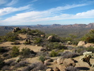 photo thumbnail #7