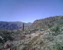photo thumbnail #8