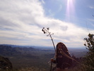 photo thumbnail #2