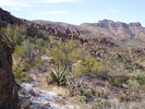 photo thumbnail #3