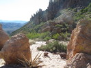 photo thumbnail #4