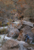 photo thumbnail #2