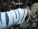 photo thumbnail #3