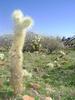 photo thumbnail #2