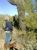 photo thumbnail #4
