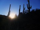 photo thumbnail #15