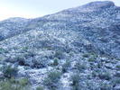 photo thumbnail #1
