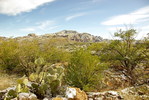 photo thumbnail #11