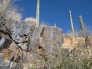 photo thumbnail #13