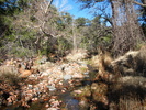 photo thumbnail #4
