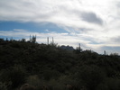 photo thumbnail #2