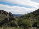 photo thumbnail #7