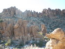photo thumbnail #11