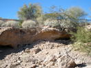 photo thumbnail #4
