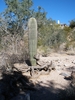 photo thumbnail #9