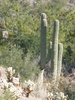 photo thumbnail #10