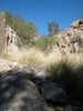 photo thumbnail #14